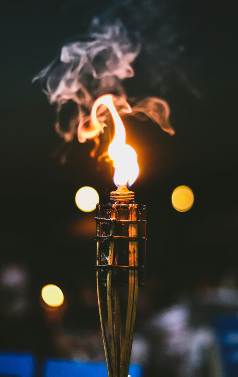 At Growth Torch, we are dedicated to illuminating your path to digital success